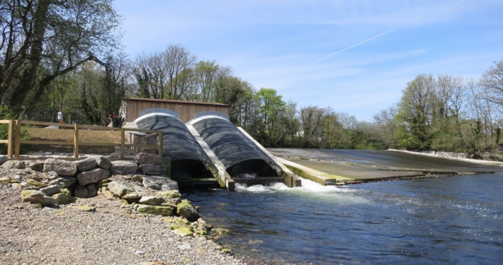 Totnes Img 9126 710x375