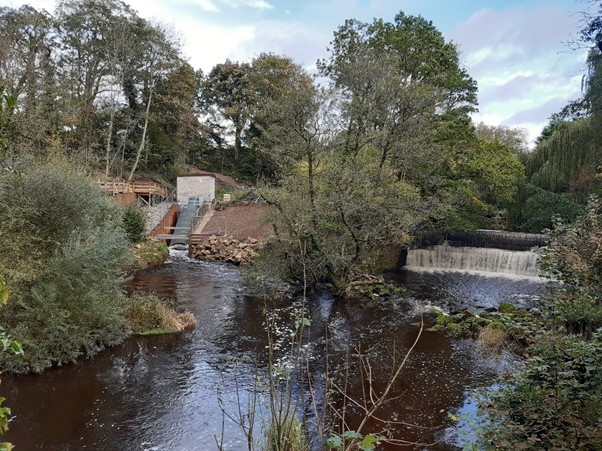 Havannahweir1 8200028