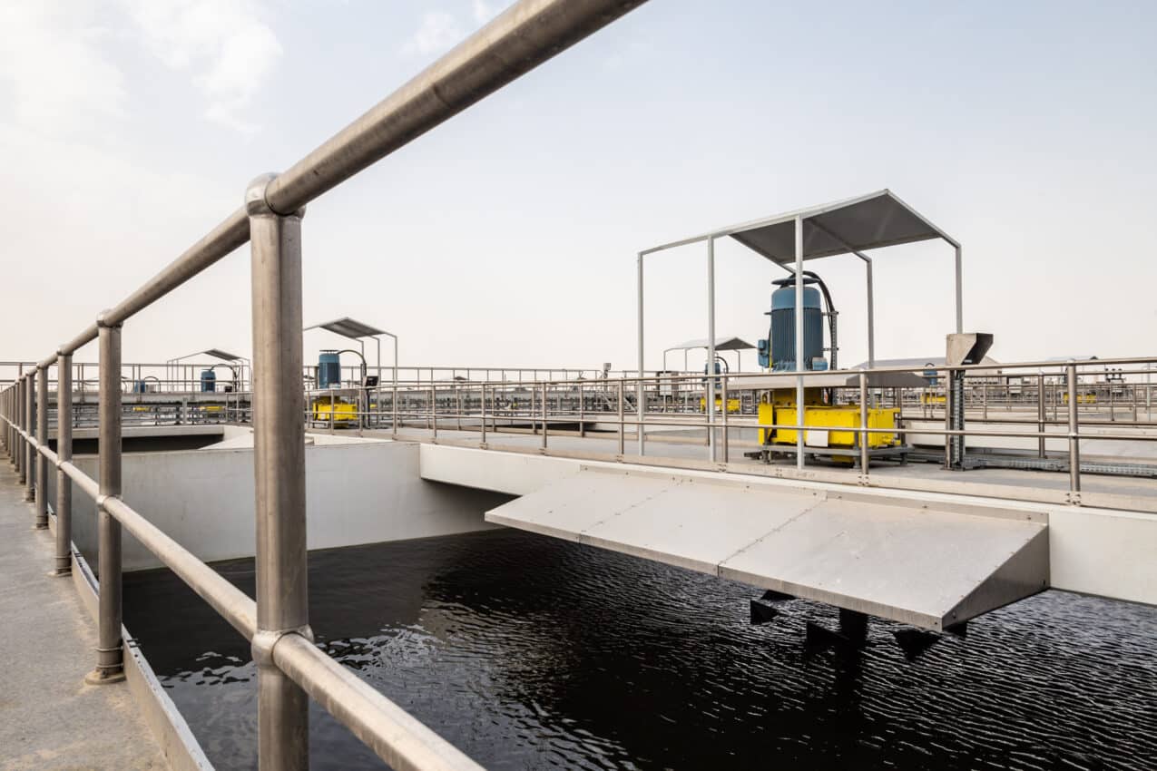 Jebelalistpweb Merlinspenkelink 7