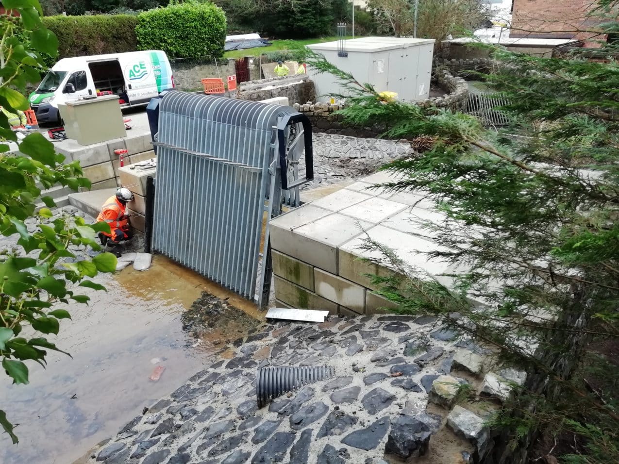 Beaumarisace8190063.1