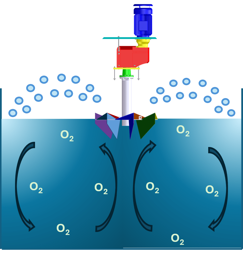 Picture Oxygen Transfer 2025